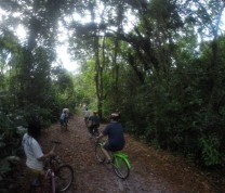 International Service Learning Program Bicycles Sun  Jungle