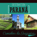 destination-parana-caminhos-do-guajuvira-copy
