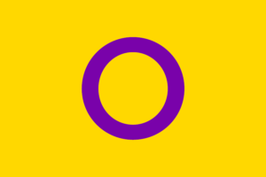 Bandeira Intersexual (Fonte: Reprodução) 