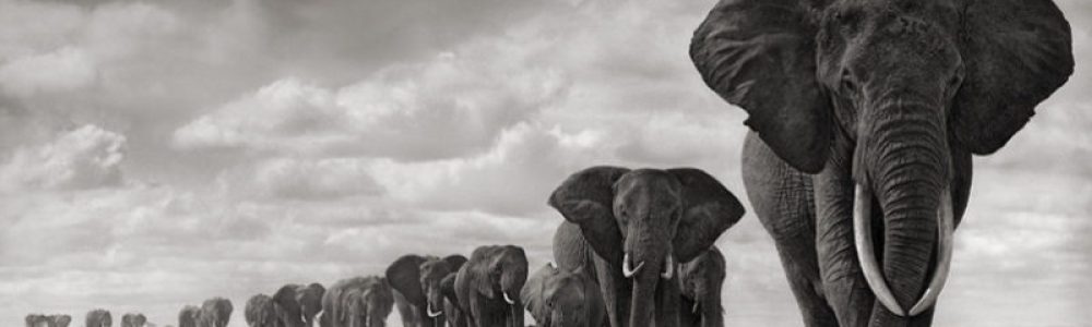 Picture: Sebastião Salgado